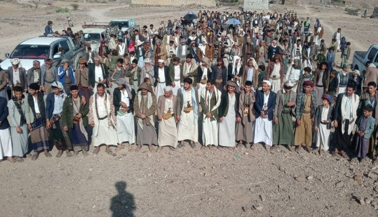 photo_4_2026-03-01_22-49-59