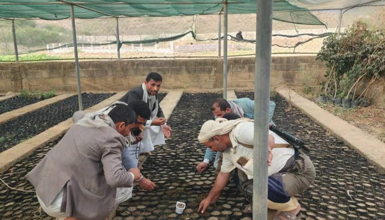 photo_4_2026-03-11_23-51-24