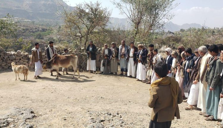 photo_4_2026-03-16_22-48-08