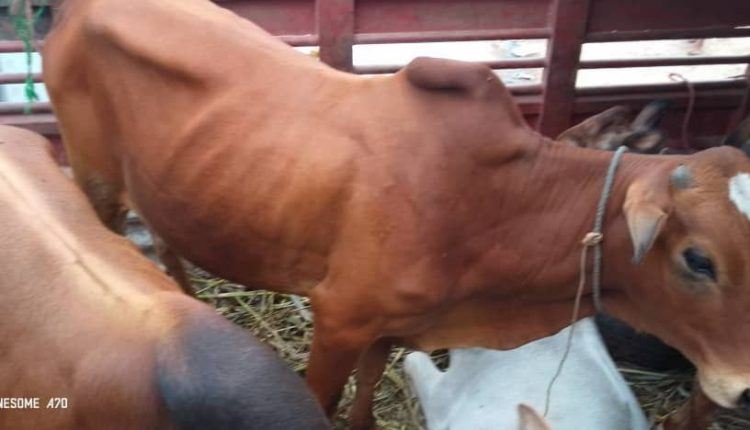 photo_5_2026-03-22_20-16-44