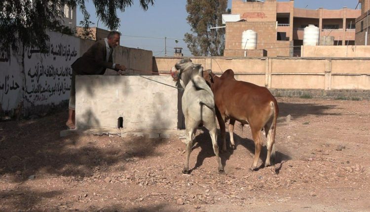 photo_6_2026-03-17_02-24-10