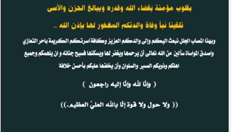 photo_1_2026-04-11_20-24-46