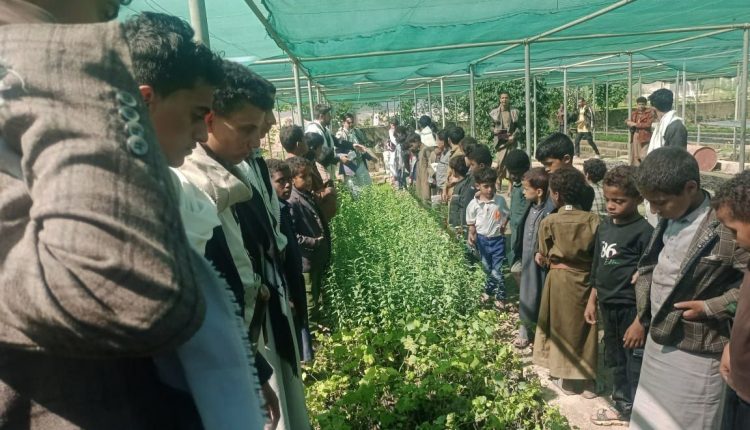 photo_1_2026-04-18_23-02-14