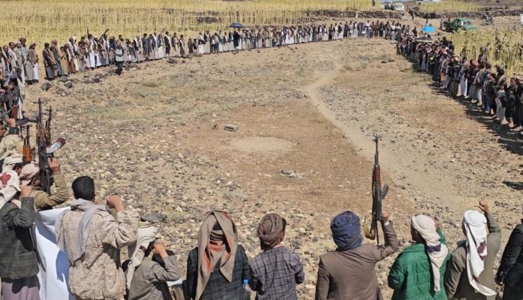 photo_1_2026-04-24_20-47-11