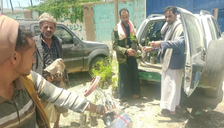 photo_3_2026-04-18_23-02-14